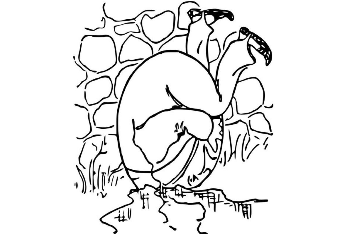 Humpty Dumpty slipping off his wall