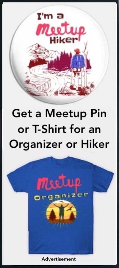Meetup Organizer Pins and T-Shirts