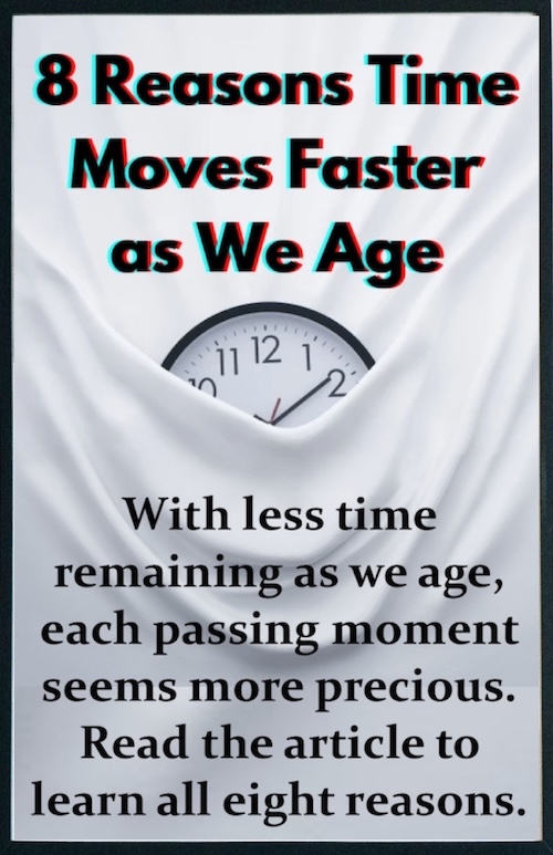 Why Time Speeds Up as We Get Older