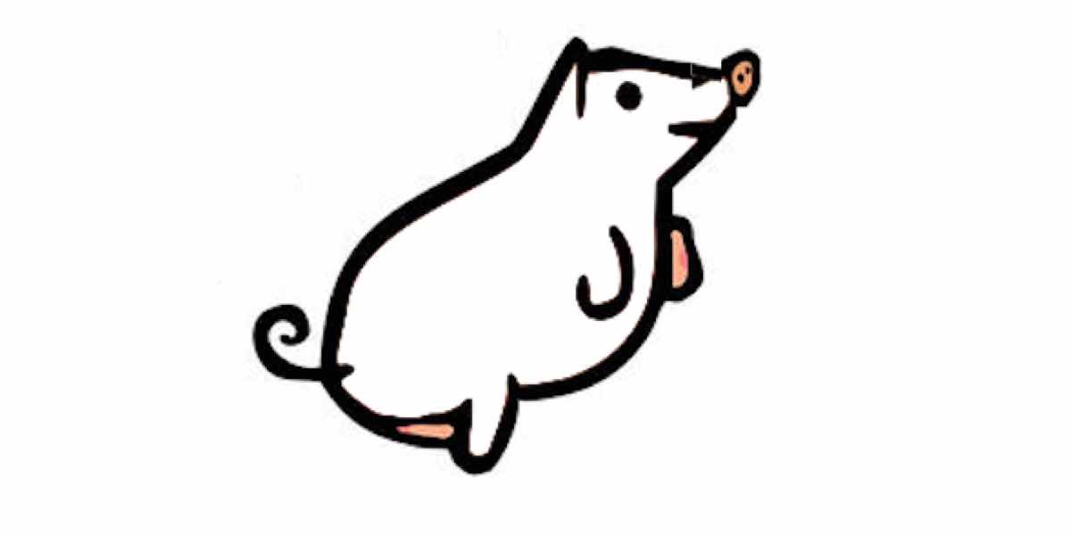 The knowledgeable pig