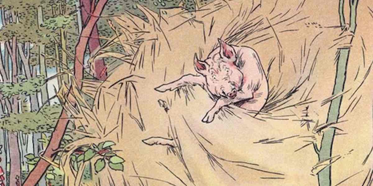 Close-up of the pig in the tree