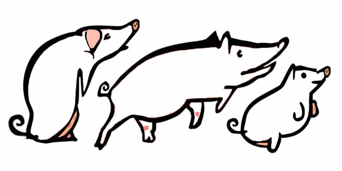 Three little pigs