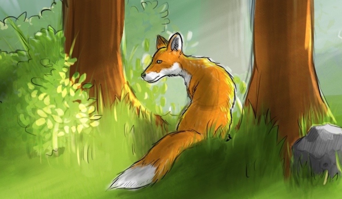 The wolf in the forest