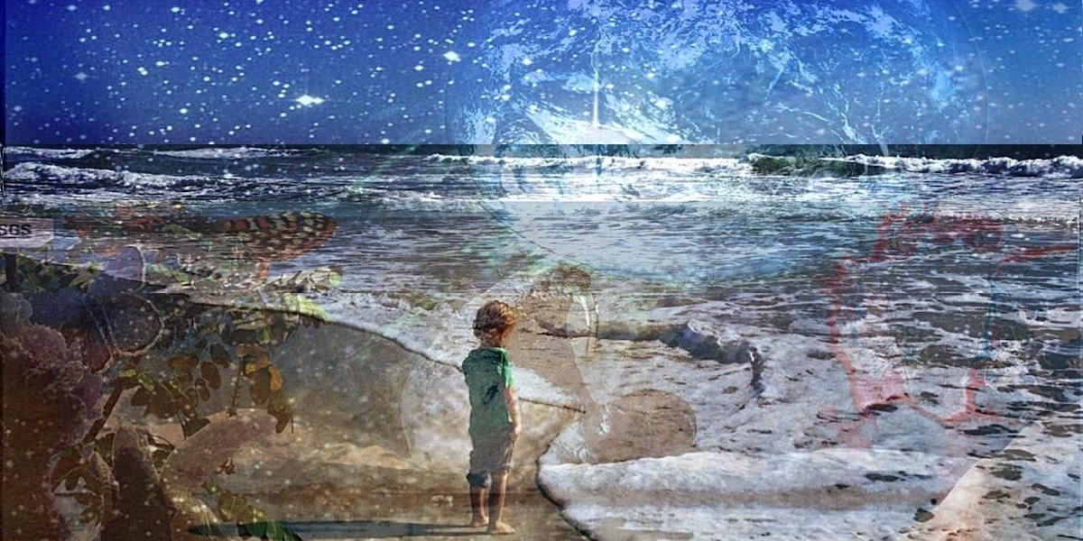 Search for Intelligent Life