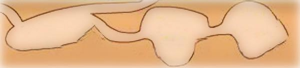 Illustration of underground tunnels