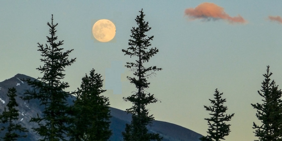 The Moon in the daytime