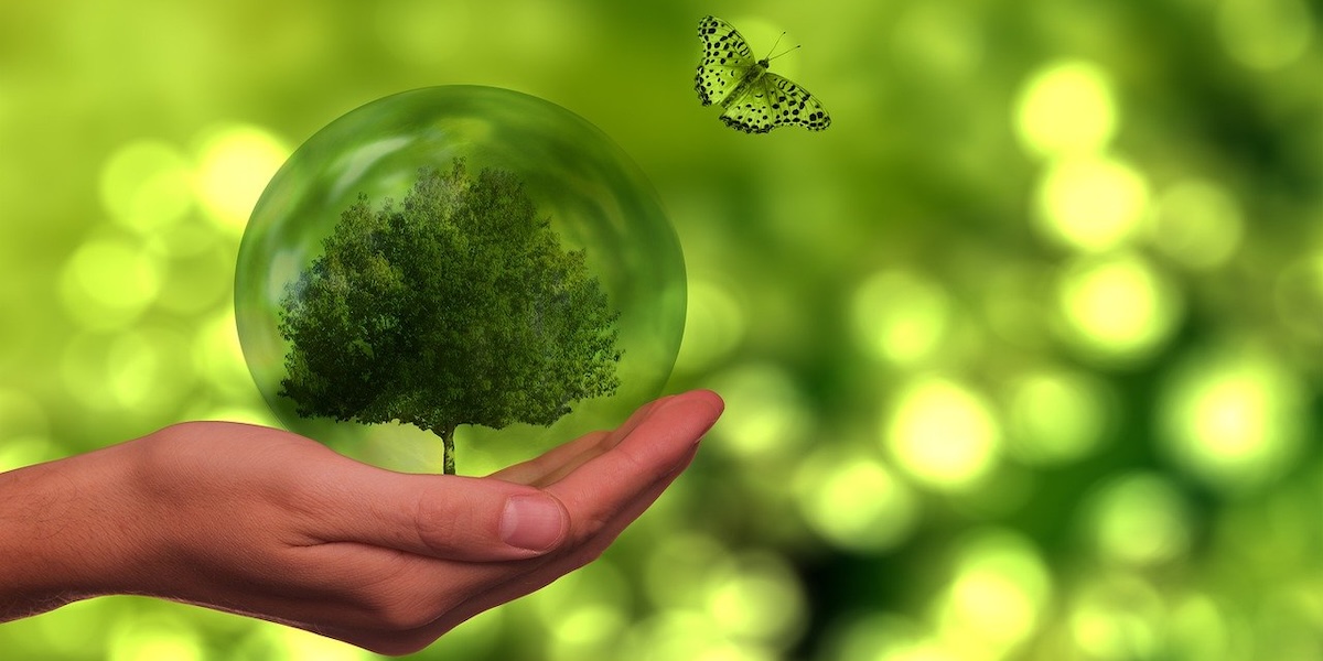 Tree in a globe and butterly